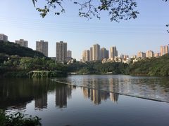 -重庆彩云湖湿地公园