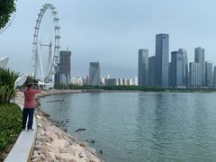 -宝安西湾红树林湿地公园