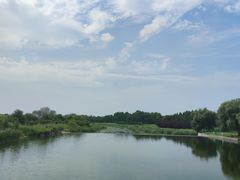 -羊亭河湿地公园