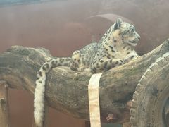 -青藏高原野生动物园