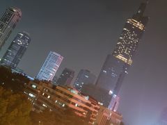 -紫峰大厦