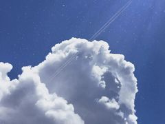 -鲜芋仙(群光广场店)