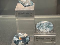 -中国地质博物馆