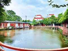 -陶缘一号·四季缘·老字号顺德菜·户外婚礼家宴(西滘店)
