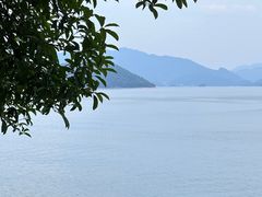 -千岛湖东南湖区