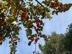 -北京园博大酒店