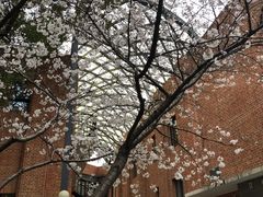 -叶家花园