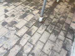 -九寨沟石锅鱼(沣峪口二十年店)