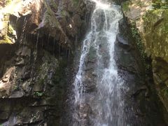 -藏龙百瀑风景区