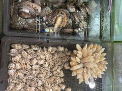 -寻味顺德·南记酒家·传统顺德菜·鱼生(广源路店)