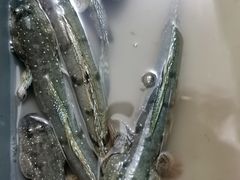 -钱山海鲜大排档