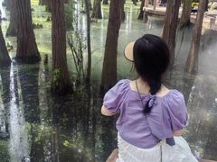 -东湖落雁景区