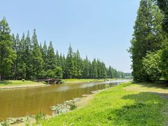 -黄海国家森林公园