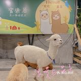 朋友聚餐亲子农庄💚 | 0元免费看羊驼🦙