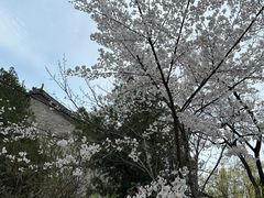 -文瀛公园