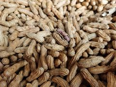小今生花生-方林富炒货店(西溪路78号本人店)