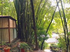 -竹海听涛生态山庄