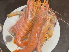 阿根廷红虾-川骄海鲜自助(亚运村店)