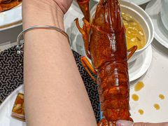 -新光酒家·河豚·海鲜·蟹料理(浦东店)