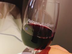 -海南海航航空信息系统公司