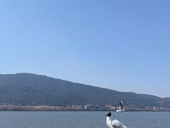 -海埂大坝