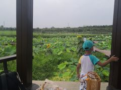 -武汉紫薇都市田园