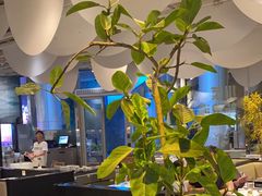 -渔语鱼酸菜鱼新川菜(来福士店)