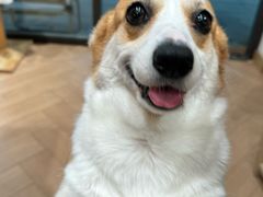 -Legno.ita Coffee by Wood(襄阳南路店)