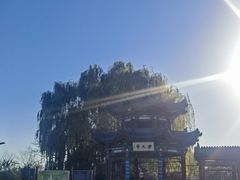 -晋祠公园