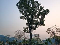 -白石龙音乐公园