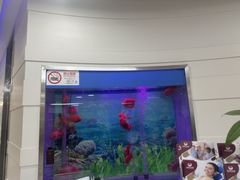 -雅悦齿科(顾村公园店)