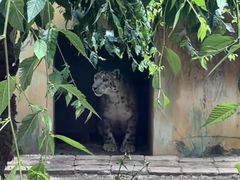 -青藏高原野生动物园