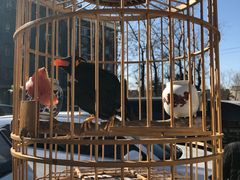 -宛平李记小吃(东关街店)