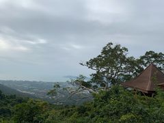 -三亚亚龙湾人间天堂鸟巢度假村