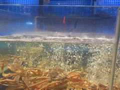 -徐记海鲜(大明宫|北二环店)
