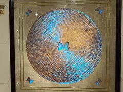 -上海昆虫博物馆