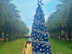 -三亚海棠湾万丽度假酒店