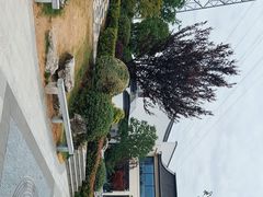 -苏州味道(阳澄湖服务区店)