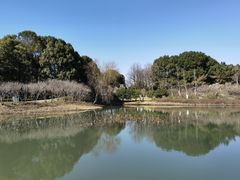 -白鹭园