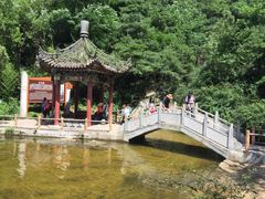 -王顺山国家森林公园