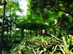 -华山儿童公园