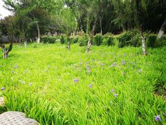 -济南国际园博园