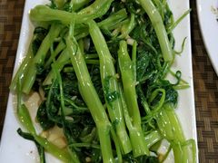 -肥信潮菜(科新路店)