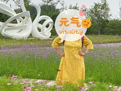 -东郊湿地公园