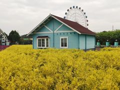 -百万葵园