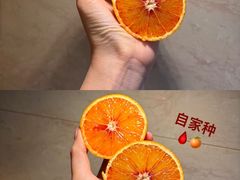 -集雅GATHERING咖啡(武康路店)