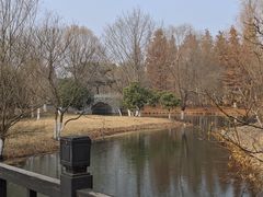 -梁鸿国家湿地公园