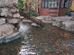 -森谷美食公园(杨行店)
