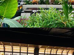 -洛缦音乐餐厅(工业展览馆万象城店)