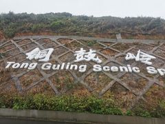 -海南铜鼓岭景区